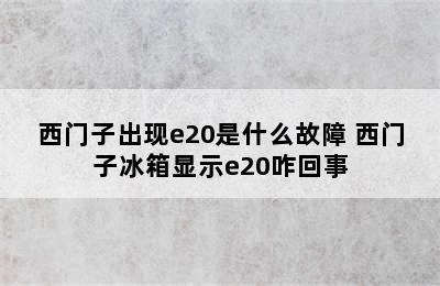 西门子出现e20是什么故障 西门子冰箱显示e20咋回事